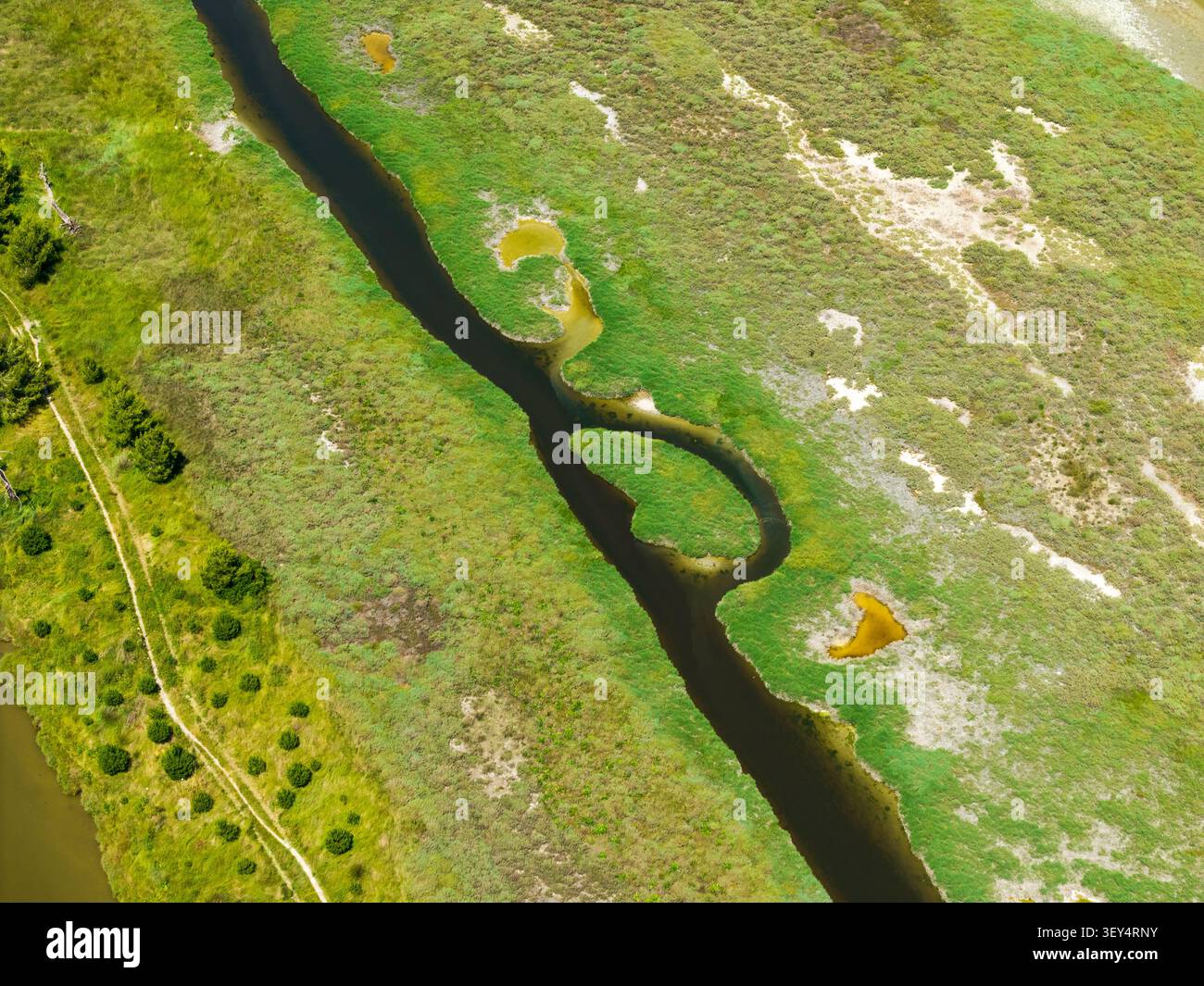 Veduta aerea del tortuoso fiume e delle lussureggianti paludi verdi del Parco Nazionale Divjake-Karavasta a Divjake, Fier County, Albania. Foto Stock