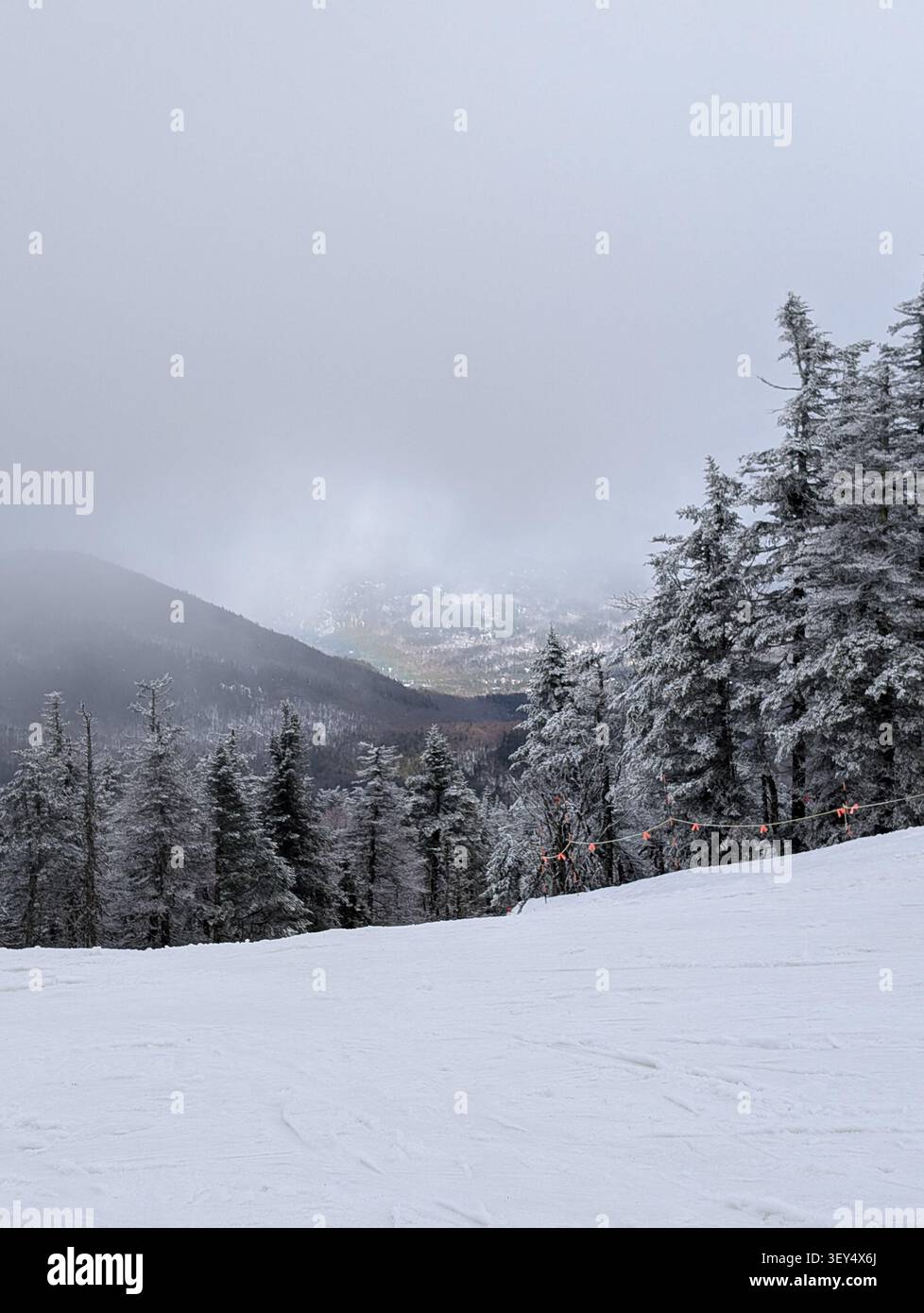 I pendii montuosi sono coperti di neve – una strada bianca, abeti carichi di neve; un bell'inverno in montagna. Canada, Ontario. - Immagine stock catturata con smartphone