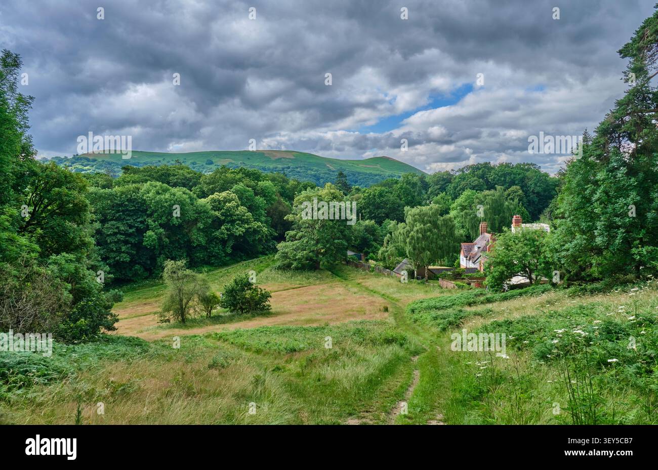 Ragleth Hill vista dalla cima del Rectory Field, Church Stretton, Shropshire Foto Stock