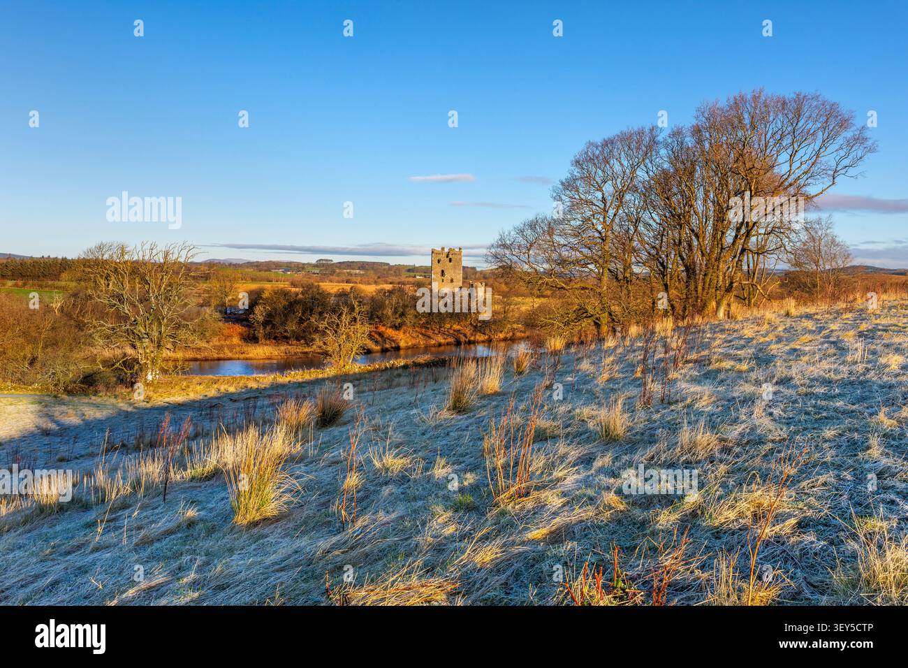 Castello di Threave e riserva naturale; Dumfries e Galloway; Scozia; Regno Unito Foto Stock