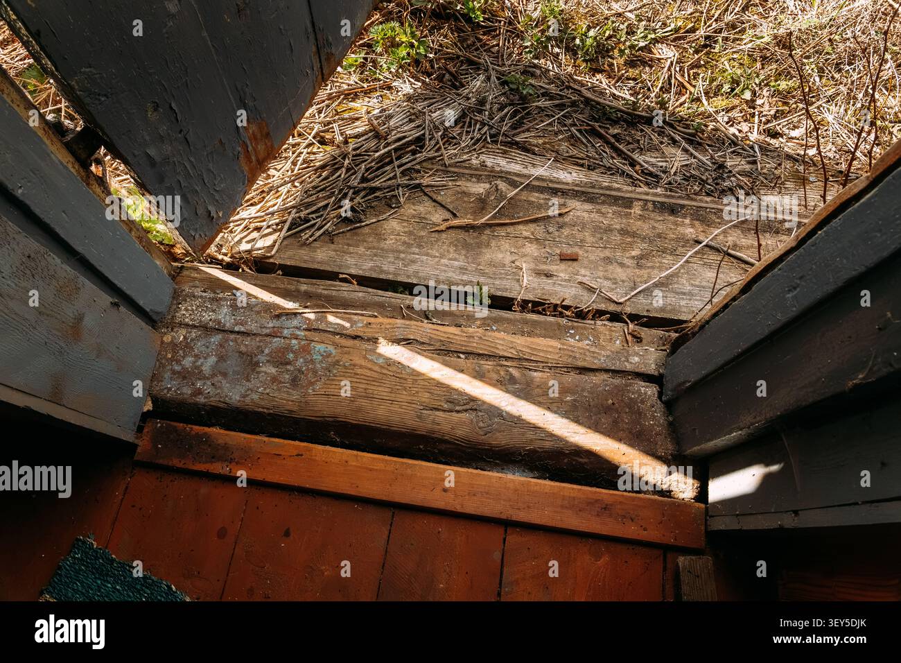 Soglia di legno distrutta e gradini di una casa abbandonata Foto Stock
