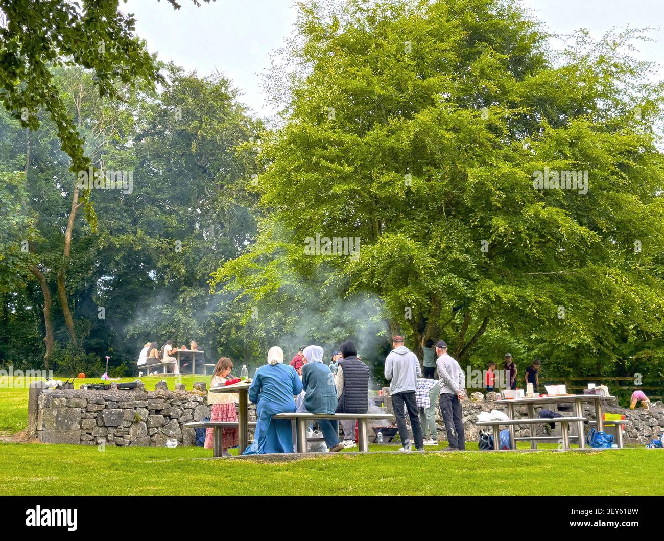 Al Rinville Forest Park vicino a Oranmore, co, Galway, Irlanda, ci sono strutture per pasti al barbecue - Immagine stock catturata con smartphone