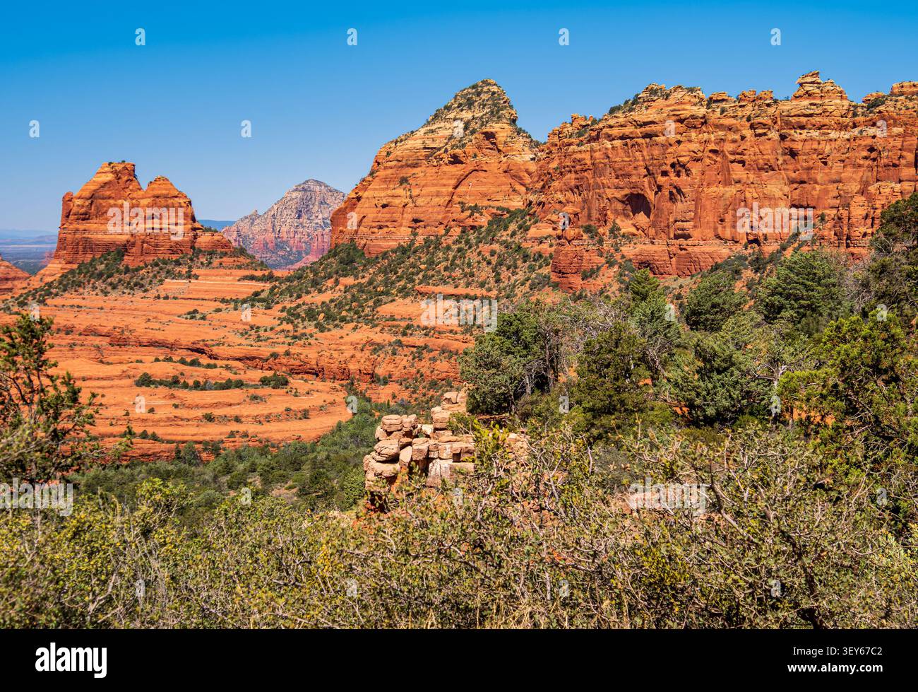La vegetazione naturale nella Foresta Nazionale di Coconino circonda formazioni di arenaria rossa a contrasto tra il verde scuro e le attrazioni di arenaria rossa Foto Stock