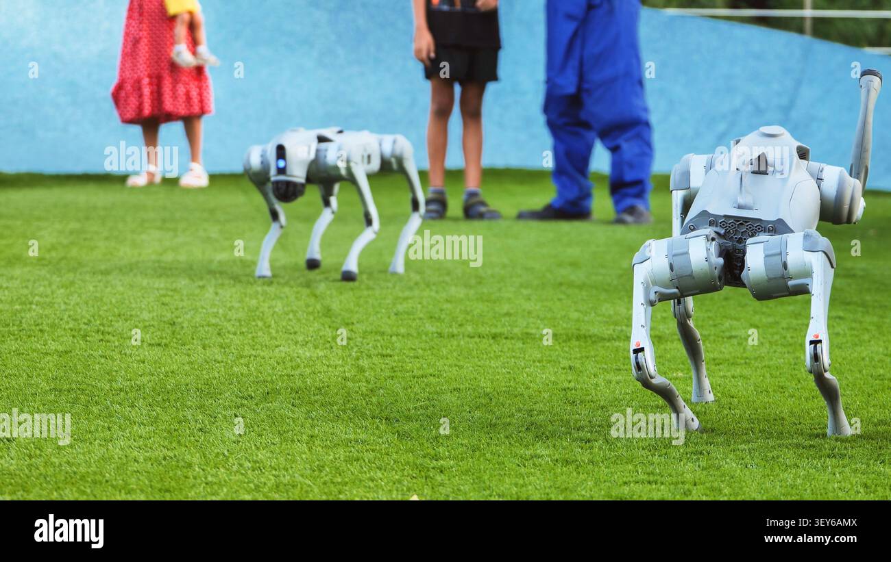Compagni di cani robot che interagiscono con le persone su erba artificiale verde Foto Stock