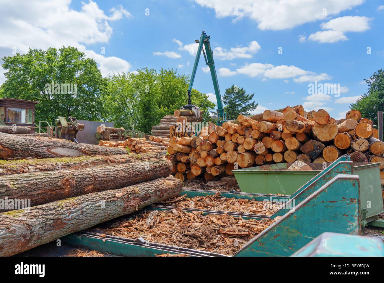 Otzberg-Lengfeld, Germania - 15 giugno 2026: Gru verde per il sollevamento di tronchi in una segheria a Otzberg-Lengfeld, Germania. Pile di legname e attrezzature industriali Foto Stock