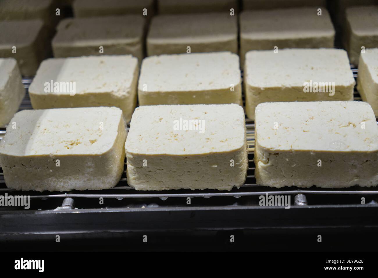 Blocchi di formaggio tofu fresco che si muovono in file sulla linea di trasporto industriale Foto Stock