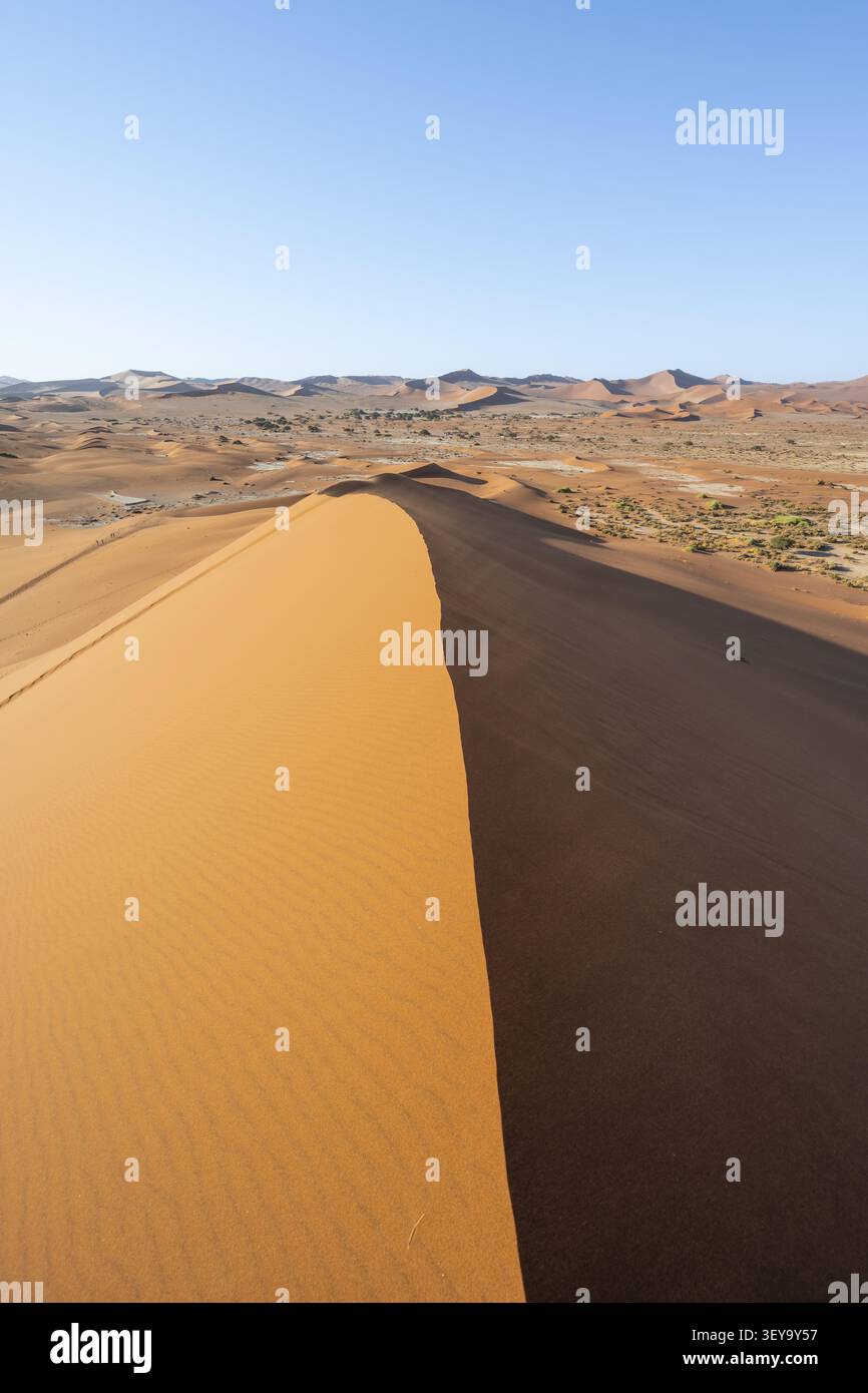 Duna di sabbia nel deserto del Namib, Namib Naukluft Park, Namibia Foto Stock