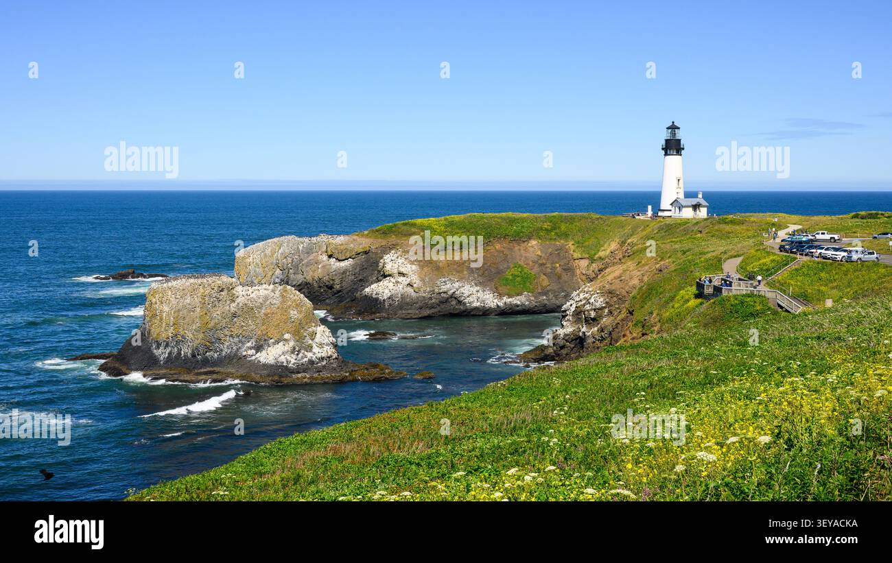 Newport, OREGON, USA - 11 giugno 2026; faro di Yaquina Head in estate con fiori selvatici e cielo blu Foto Stock