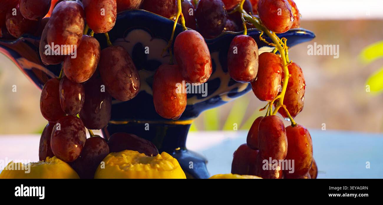 Uva rossa appesa in un vaso, fichi sotto le viti Foto Stock