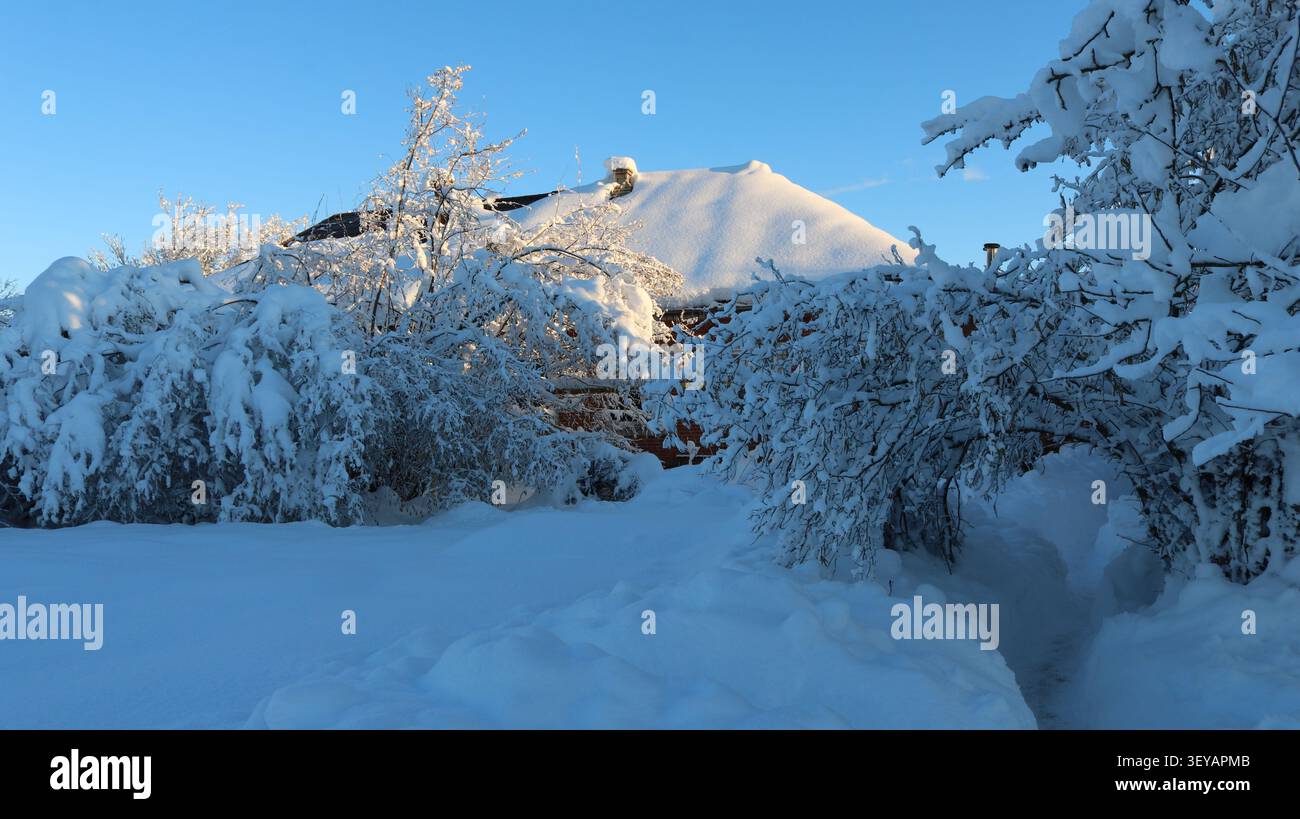 casa di campagna con un'enorme calotta da neve sul tetto in una giornata d'inverno. Di fronte all'edificio si trova un giardino coperto di neve con cespugli sotto una crosta pesante Foto Stock
