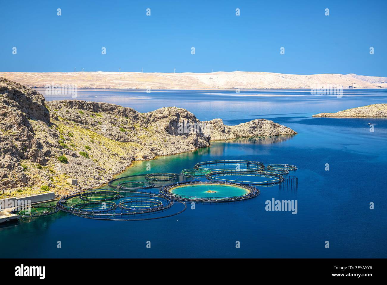 Cerchi di allevamento ittico o gabbie galleggianti per allevare e allevare pesci come spigola e tonno in mare aperto. Velebit, canale montano di Croati Foto Stock