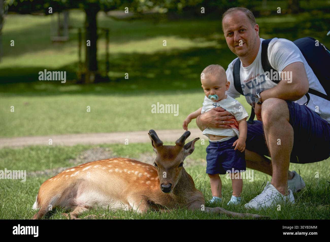 Padre e figlio seduti vicino a un cervo che giace sull'erba verde del parco Knuellwald in una calda e soleggiata giornata estiva, indossando pantaloncini e T-shirt. Alta qualità Foto Stock
