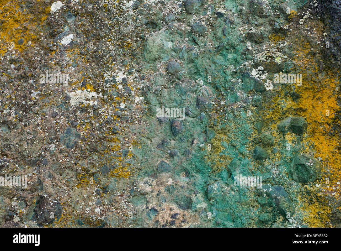 I licheni e la colorazione minerale coprono una superficie rocciosa con colori verde e giallo. Foto Stock
