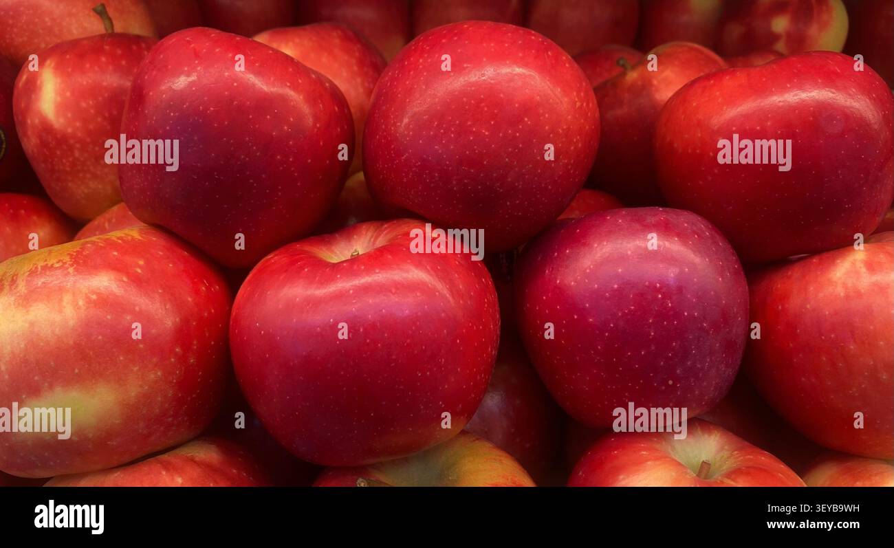Mele rosse fresche dal colore naturale vivace e dalla consistenza liscia, simboleggiano una nutrizione sana, l'agricoltura biologica, la stagione del raccolto e l'agricoltura fresca - Immagine stock catturata con smartphone