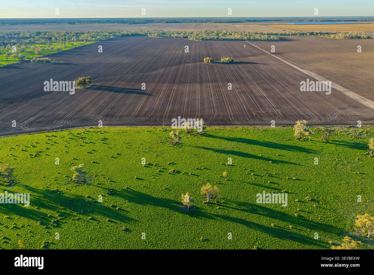 Scenario aereo che mostra terreni coltivati circondati da un lussureggiante paesaggio verde, mettendo in risalto i suggestivi motivi, le texture e i ricchi colori del Foto Stock