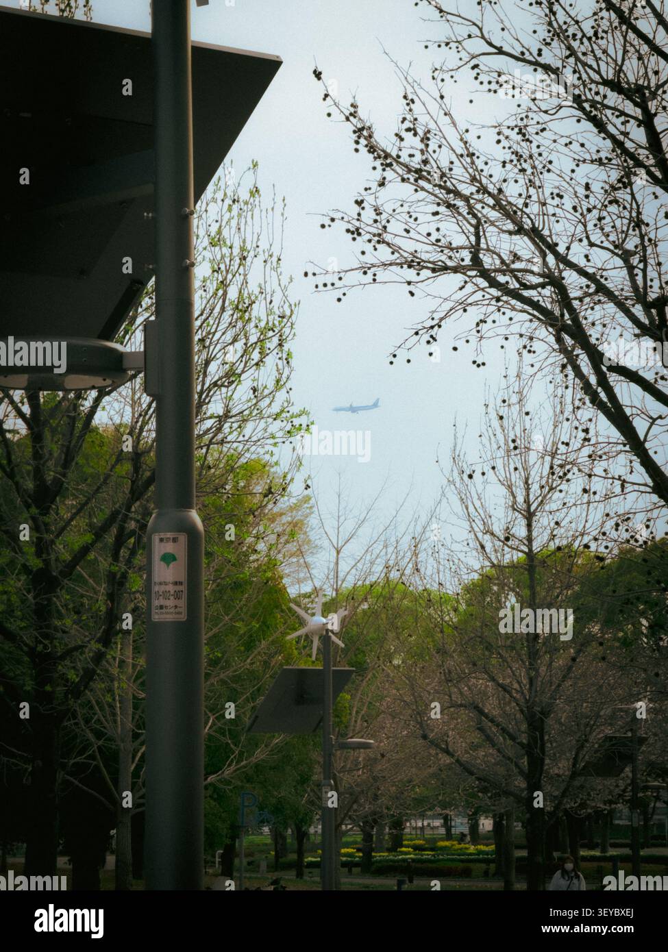 Un aereo sorvola un parco pubblico con lampioni ecologici a energia eolica e solare circondati da alberi a Tokyo, Giappone - Immagine stock catturata con smartphone