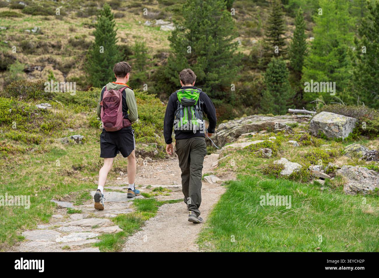 Due escursionisti che camminano su un sentiero, in un paesaggio montano con rocce e vegetazione, con zaini da trekking, sentieri, rocce, alberi, con terreno roccioso, sterrato Foto Stock