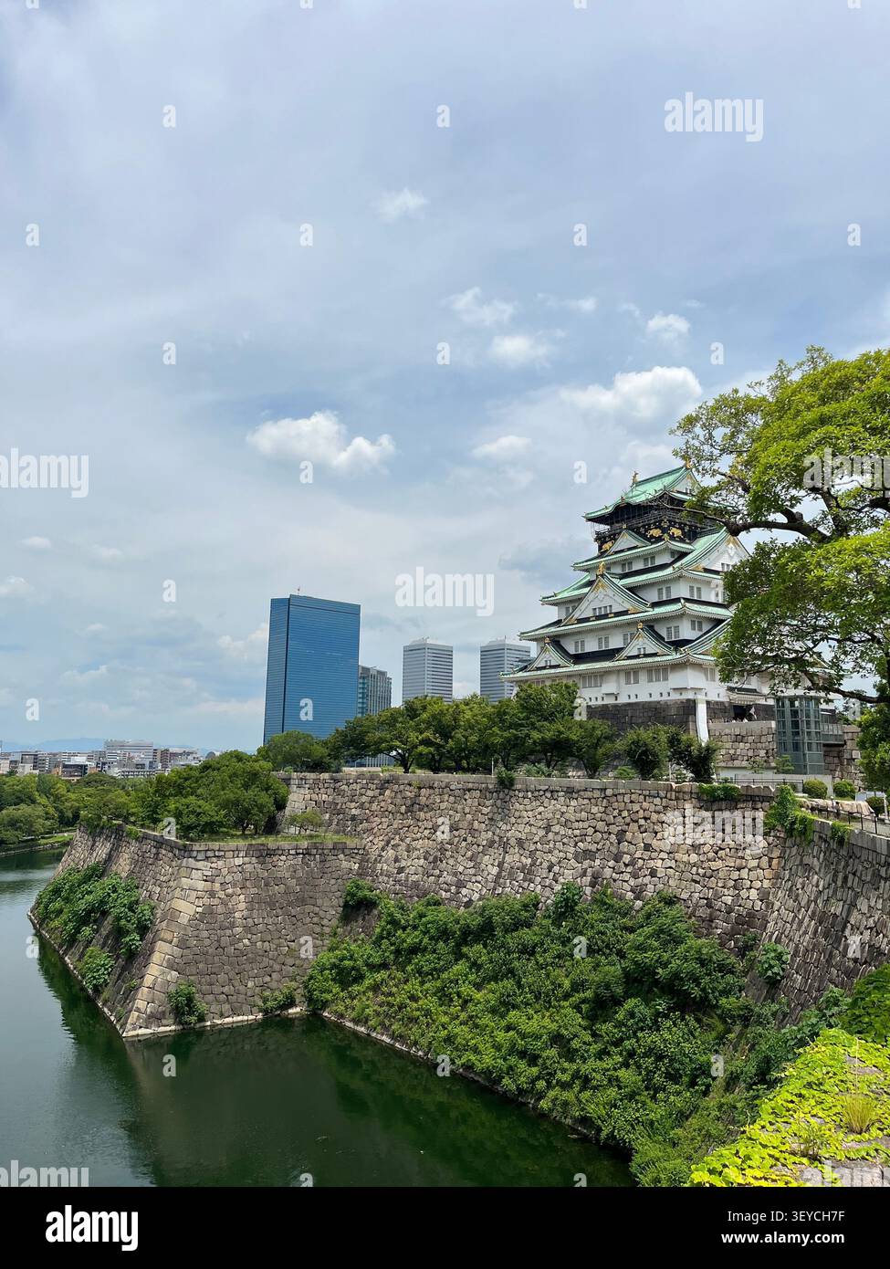 Lo storico donjon del Castello di Osaka sorge sopra antiche mura di pietra e fossato, in contrasto con i moderni grattacieli di vetro, Osaka, Giappone. - Immagine stock catturata con smartphone