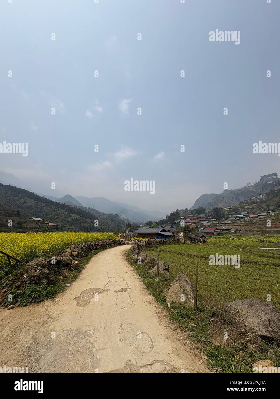 Strada sterrata che conduce a un tradizionale villaggio di montagna circondato da fiori di colza gialli e cime calcaree nebbiose, altopiani del Vietnam settentrionale. Foto Stock