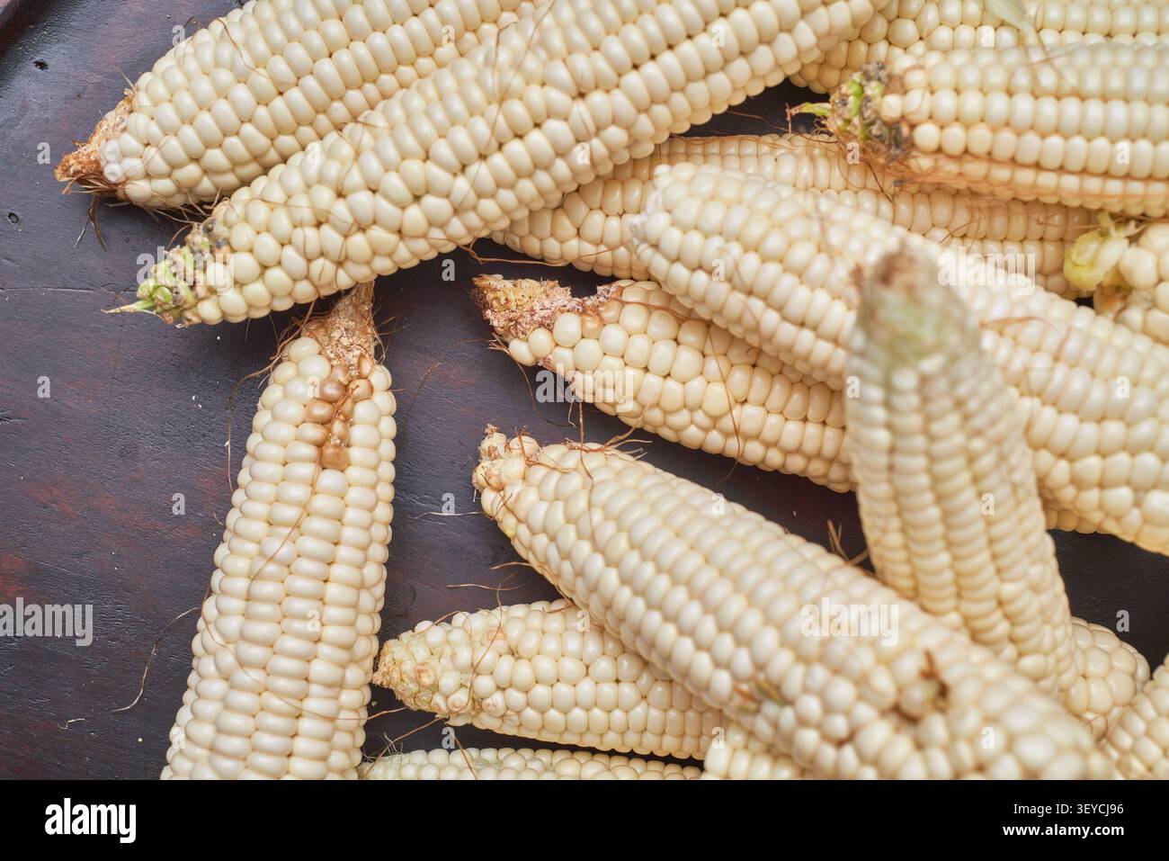 Mais Beogeum biologico con bucce naturali e chicchi bianchi cremosi. Mette in evidenza un'agricoltura autentica priva di sostanze chimiche e un'agricoltura sostenibile per alimenti ecologici Foto Stock