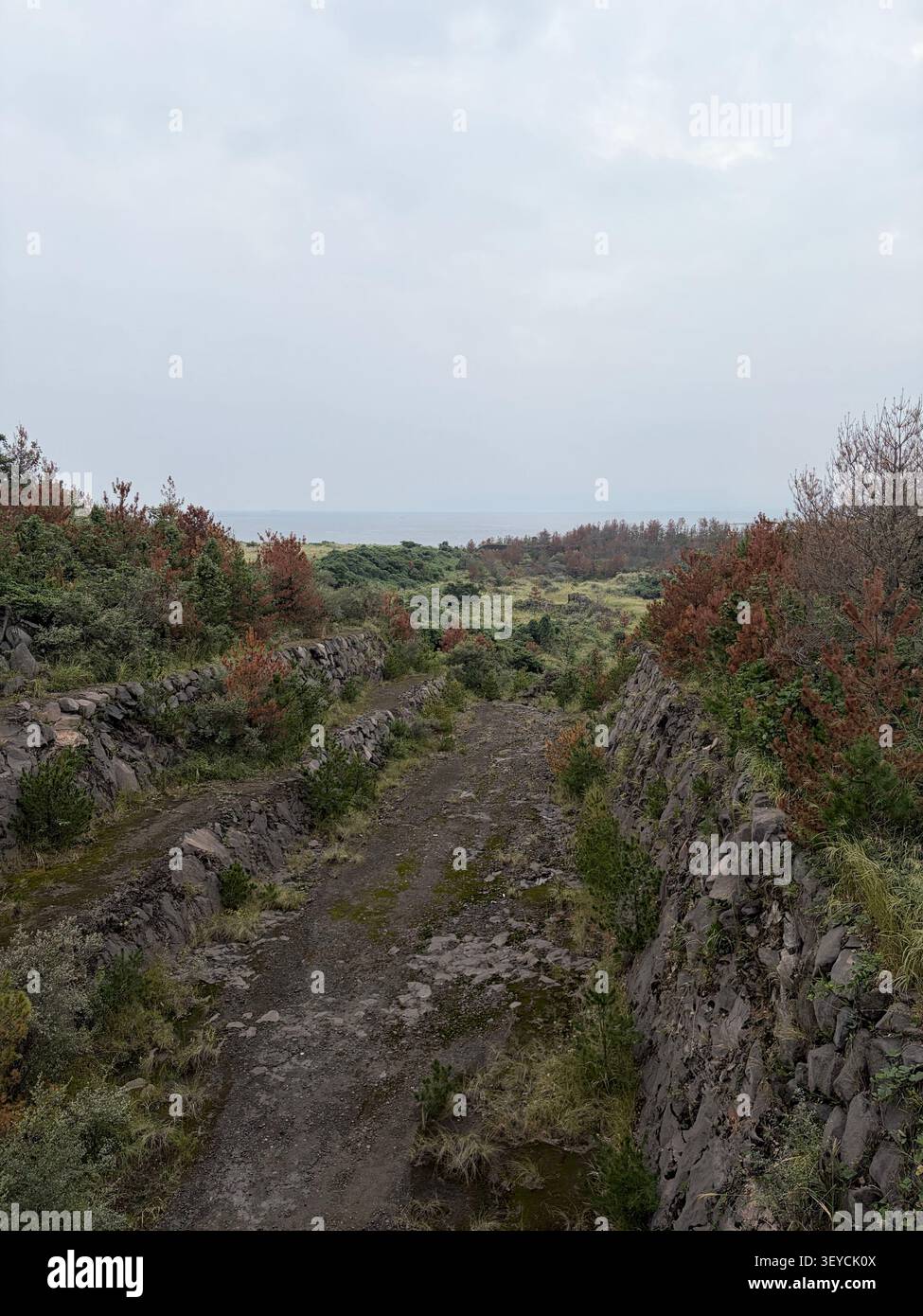 Aspra collina rocciosa con vegetazione verde e rossa autunnale sotto un cielo piatto coperto. Probabile Europa atlantica o paesaggio isolano vulcanico. - Immagine stock catturata con smartphone