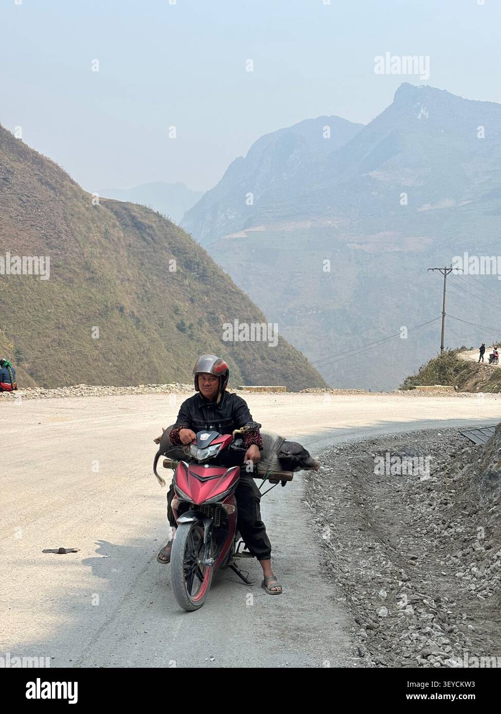 25 marzo 2025, ha Giang, Vietnam - minoranza etnica locale uomo in moto che trasporta un maiale su una stretta strada di montagna con un suggestivo paesaggio carsico nebbioso - Immagine stock catturata con smartphone