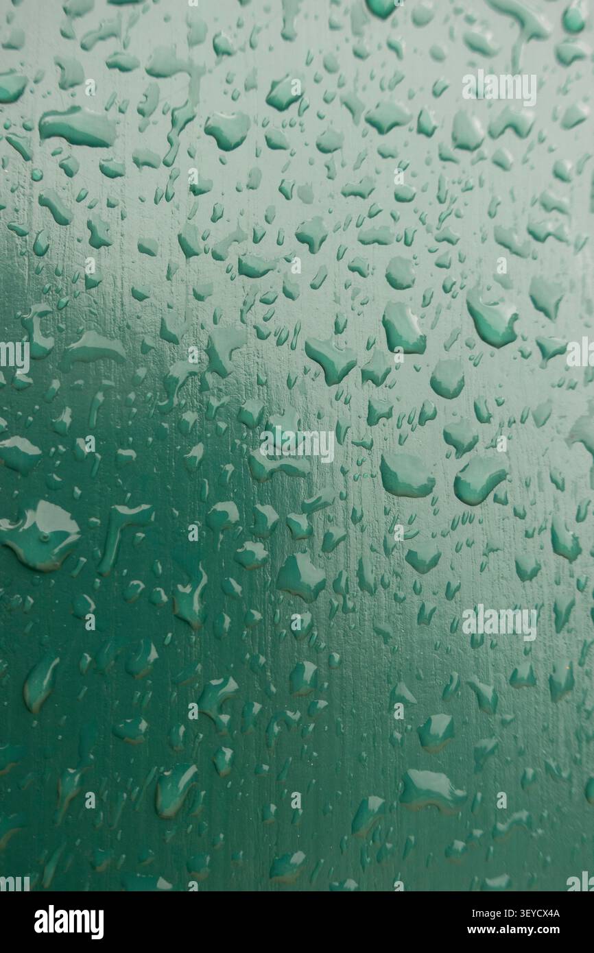 vista macro di gocce di pioggia su una superficie verde Foto Stock