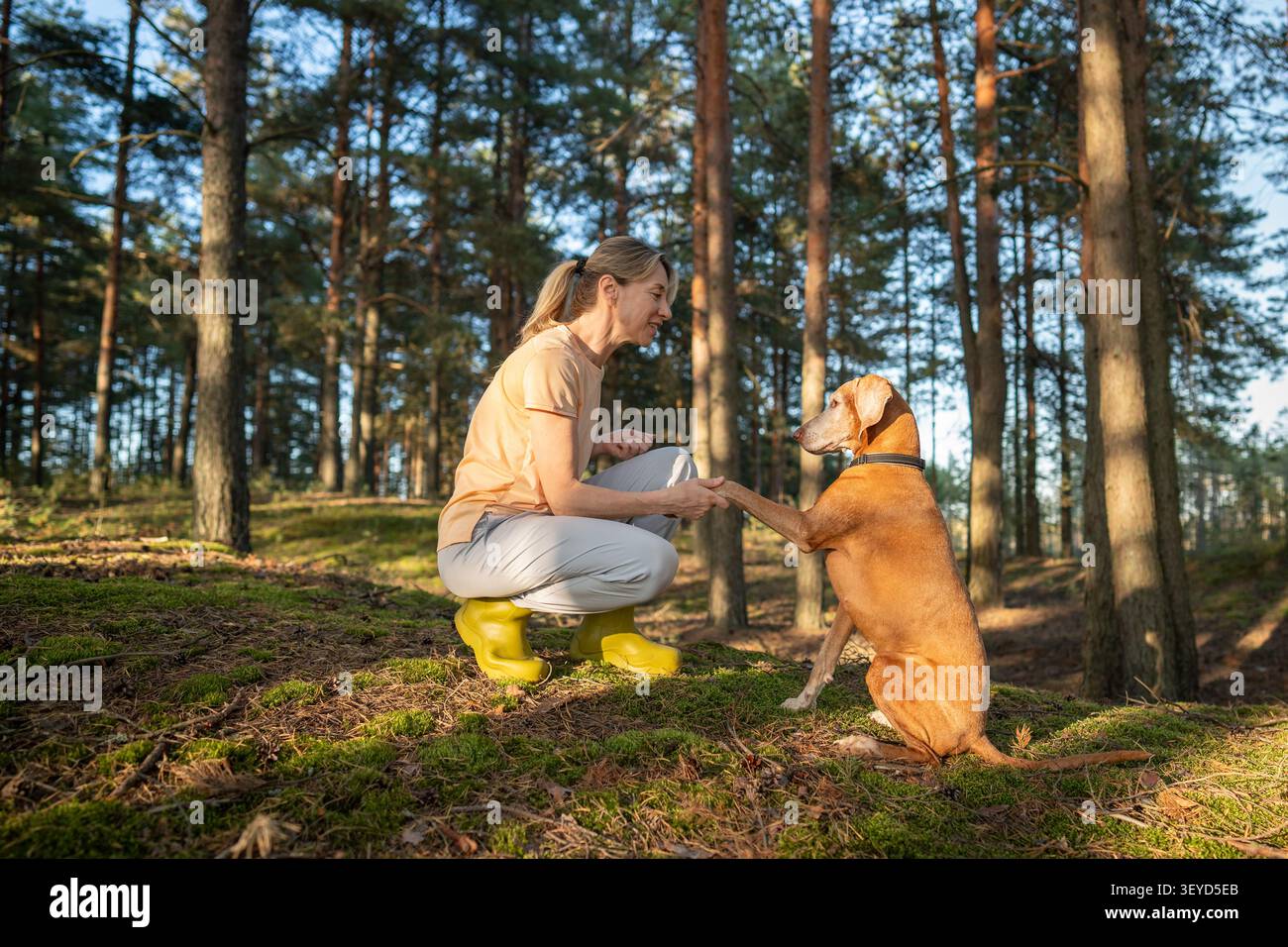 Armonia della natura, compagnia e attività ricreative, donna sicura di sé che gioca con il cane Vizsla Foto Stock
