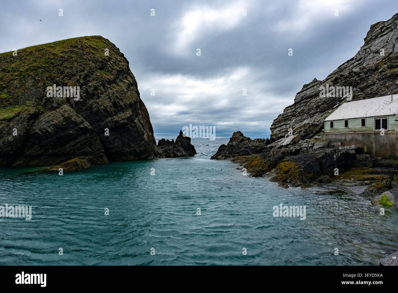 Isola di Lundy nel Canale di Bristol al largo della costa del Devon, Inghilterra, Regno Unito Foto Stock