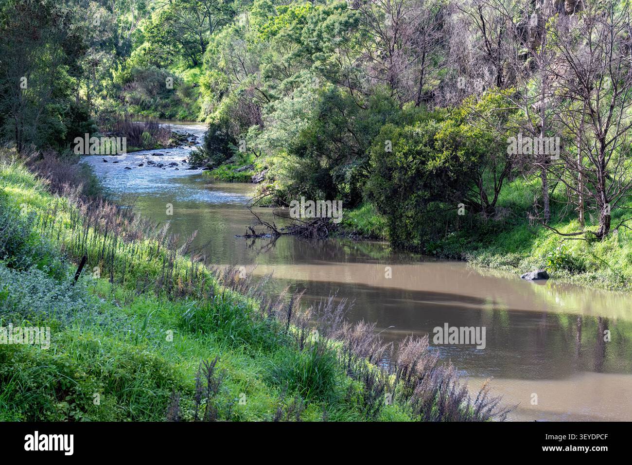 Merri Creek, Clifton Hill, Victoria, Australia Foto Stock
