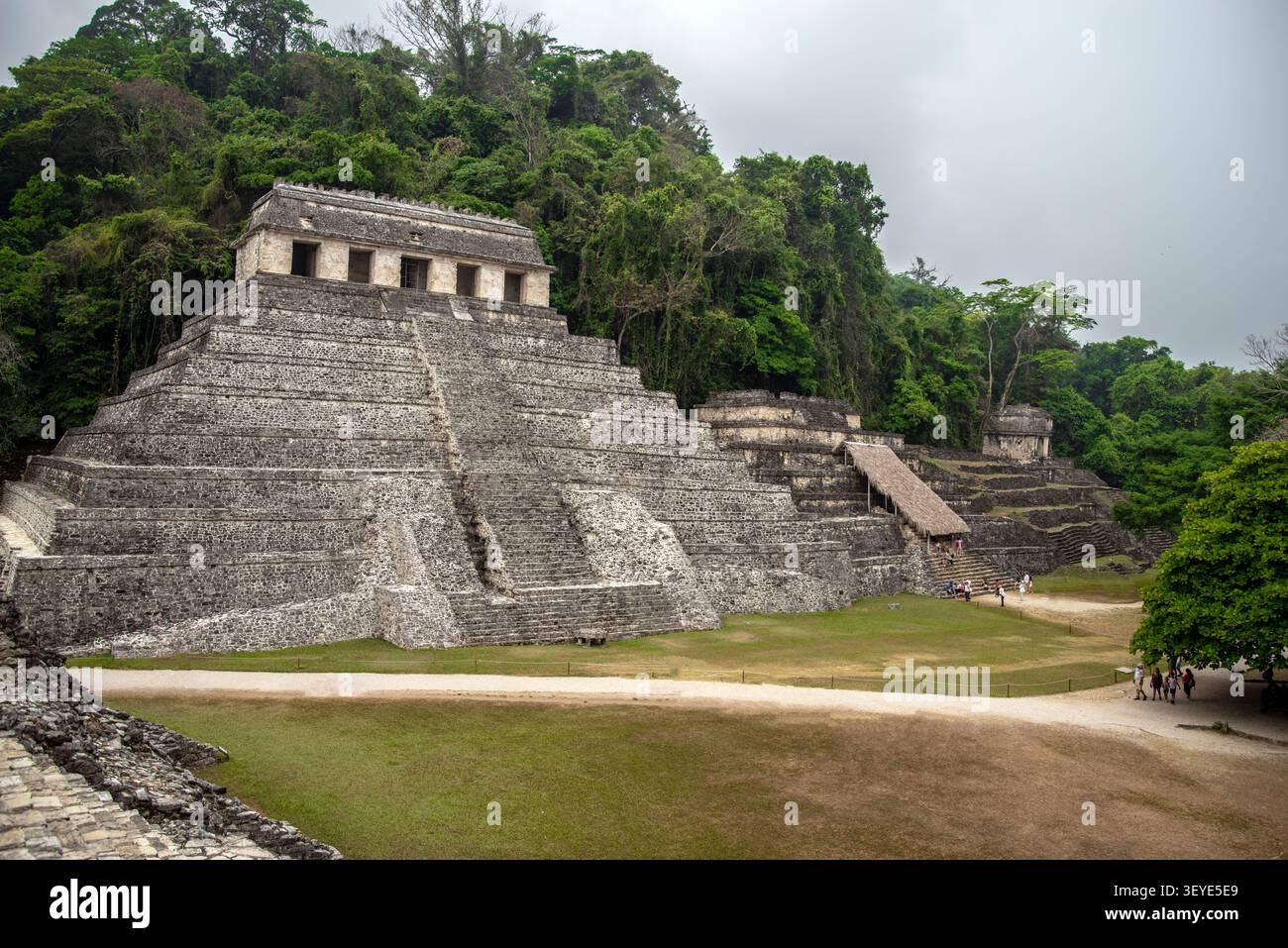L'antico tempio delle iscrizioni è circondato da una giungla lussureggiante presso il sito archeologico di Palenque a Chiapas, Messico. Foto Stock