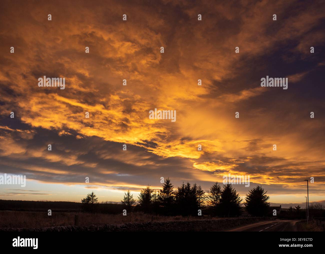 Un tramonto spettacolare da vicino al villaggio di Mey, Caithness, Scozia, Regno Unito. Foto Stock