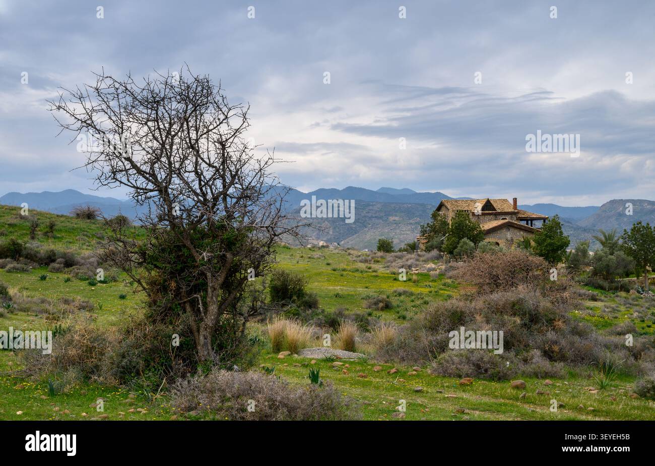 Paesaggio campestre sereno che rivela una casa incantevole immersa tra dolci colline e un albero solitario contro un cielo malinconico Foto Stock