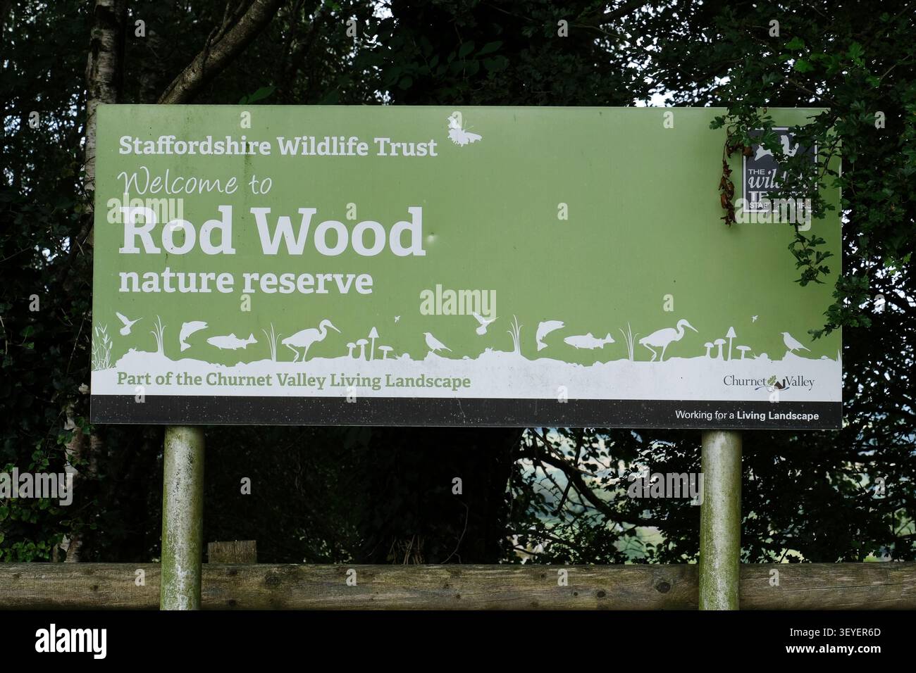 Rod Wood Foto Stock