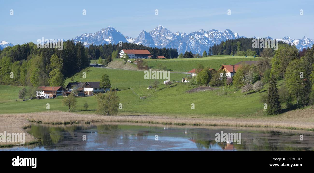 Panorama maschile con montagne e lago, case circondate da verdi colline, Biberschwoeller SEE, Steingaden, Pfaffenwinkel, alta Baviera, Baviera Foto Stock
