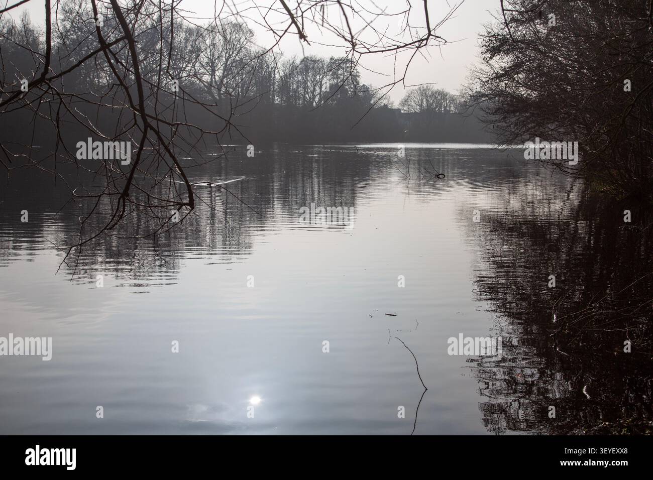 Sole nebbioso sul lago a Wanstead Park, Londra, Regno Unito Foto Stock