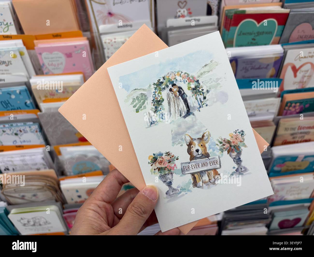Una mano che tiene in mano un biglietto per la celebrazione di nozze con un dipinto ad acquerello di una sposa, uno sposo e un corgi con un cartello. Foto Stock