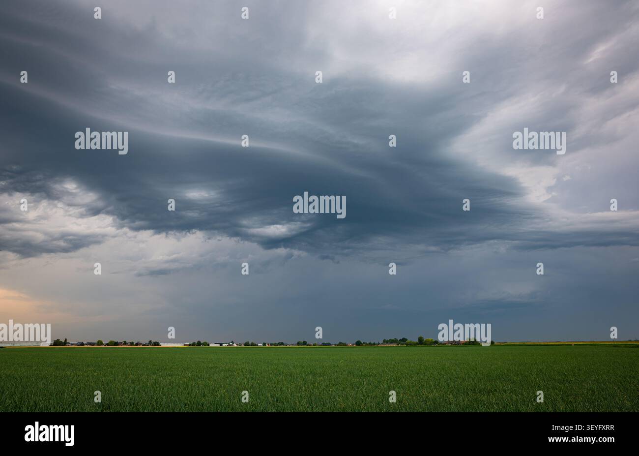 Spettacolare nuvola di scaffali alti di un temporale che si avvicina sui campi verdi Foto Stock