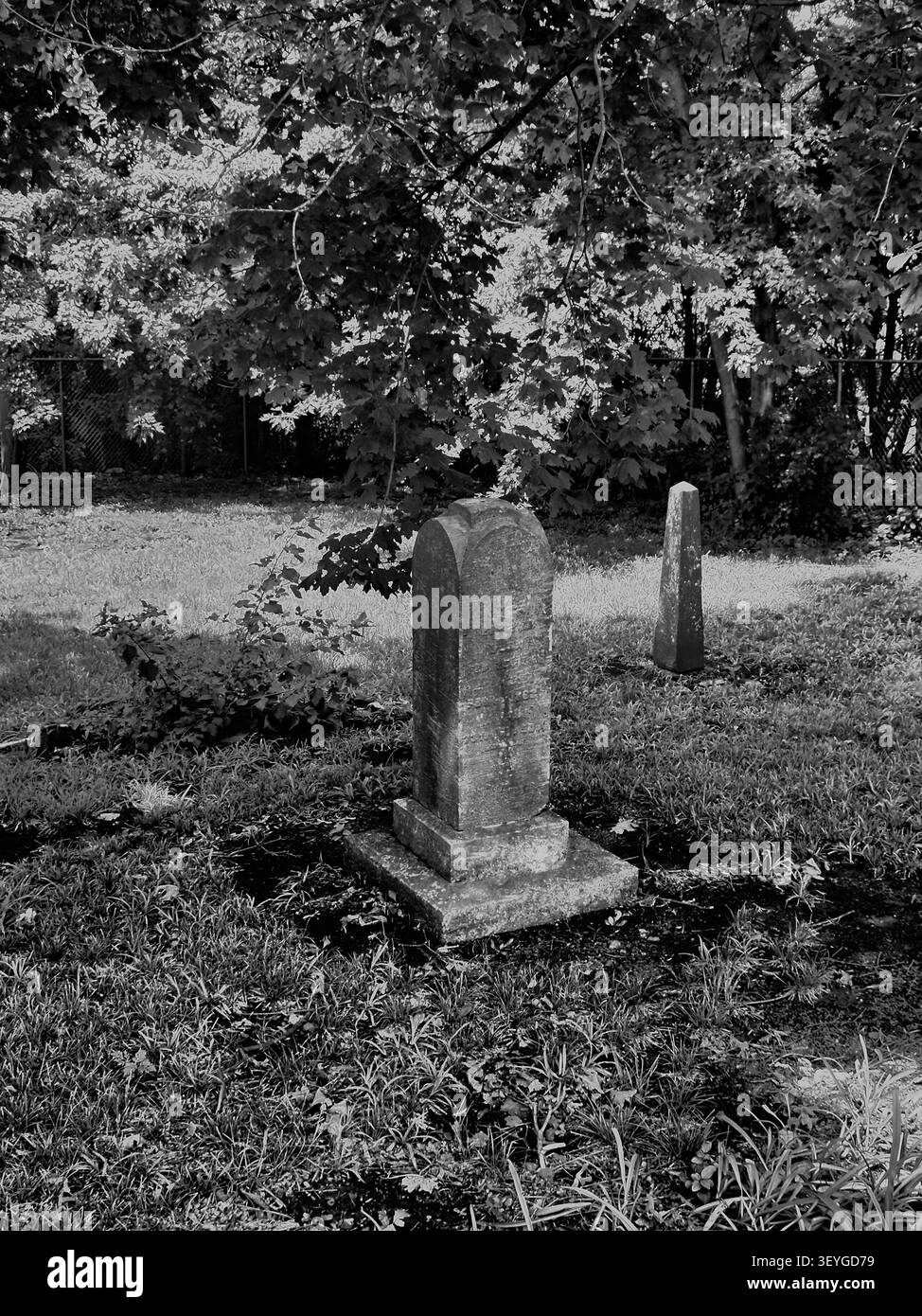 Vecchie pietre tombali in pietra in un cimitero storico sovrastato circondato da lussureggianti prati verdi e alberi d'ombra maturi durante una brillante giornata estiva Foto Stock