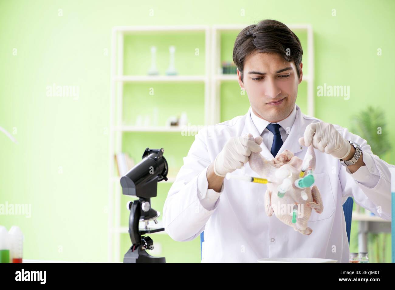 Assistente di laboratorio test pollo OGM Foto Stock