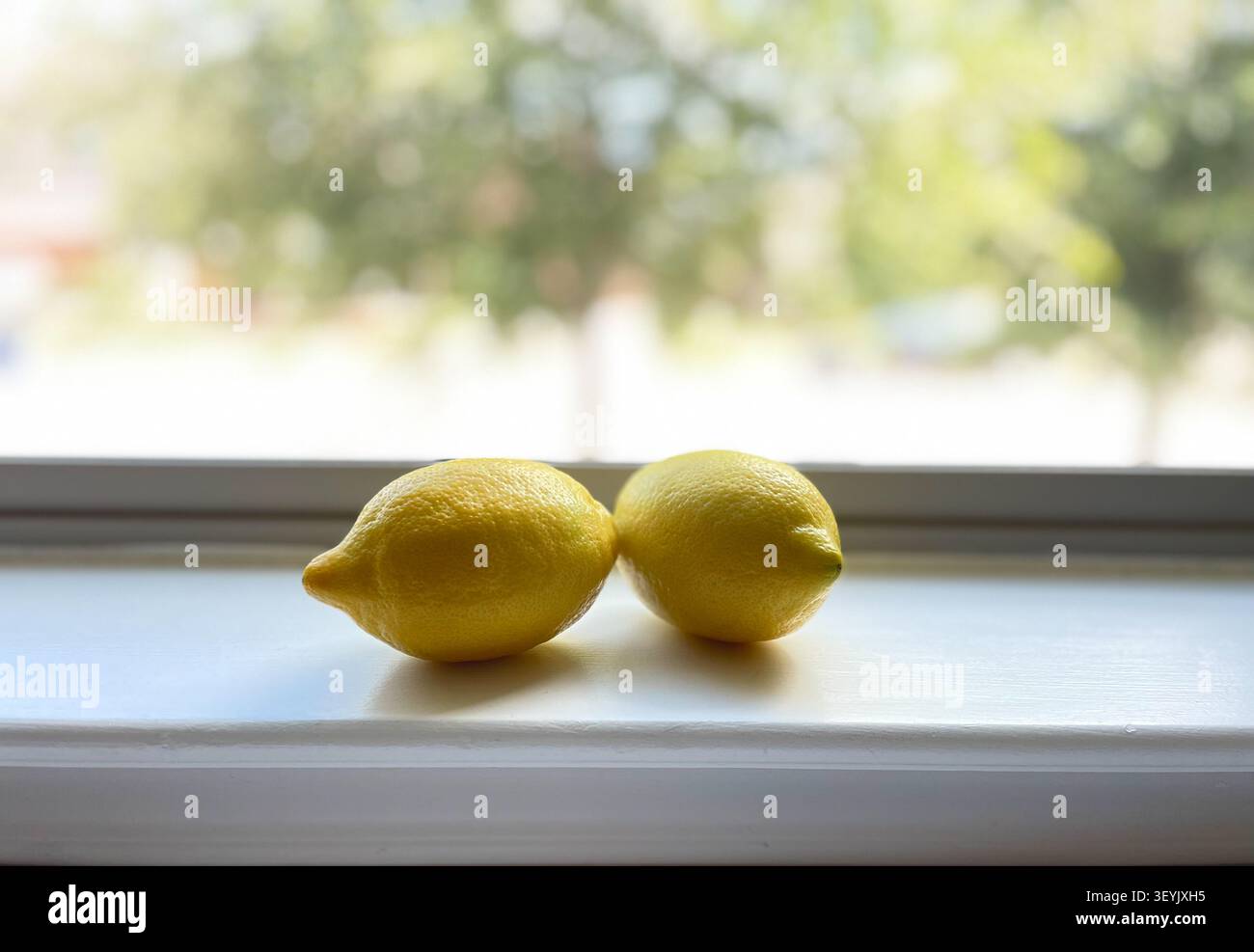 Leander, Texas, USA - 3 luglio 2026: Un paio di limoni freschi che riposano su un davanzale in una giornata di sole. - Immagine stock catturata con smartphone