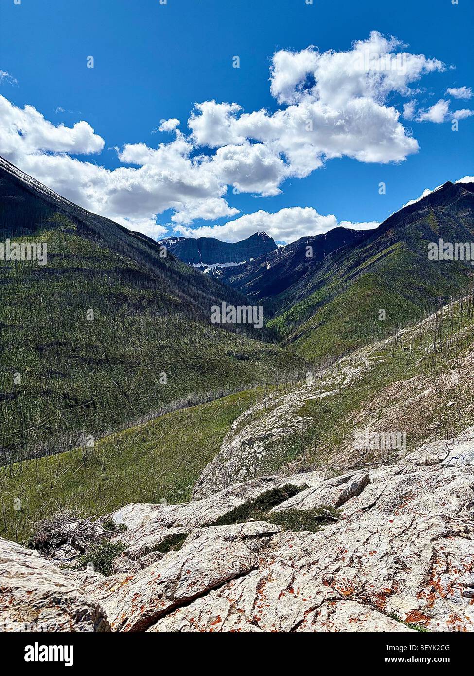 Le aspre cime delle Montagne Rocciose canadesi si innalzano sopra le acque cristalline del lago Waterton, del Waterton Lakes National Park, Alberta, Canada. - Immagine stock catturata con smartphone