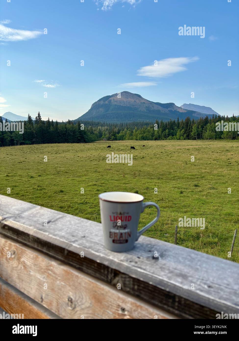 Le aspre cime delle Montagne Rocciose canadesi si innalzano sopra le acque cristalline del lago Waterton, del Waterton Lakes National Park, Alberta, Canada. - Immagine stock catturata con smartphone