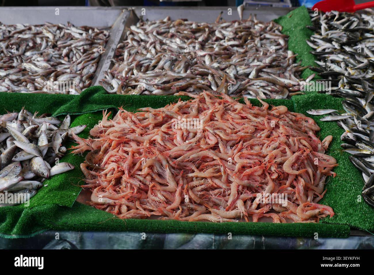 Pesce e gamberi in mostra in un affollato mercato Foto Stock