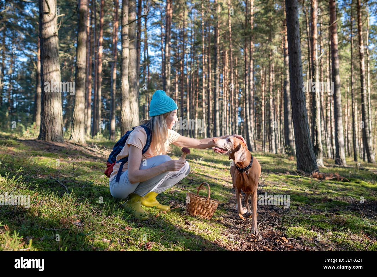 Donna allegra che cerca escursioni in pinete raccogliendo funghi Boletus commestibili con il cane Vizsla. Foto Stock