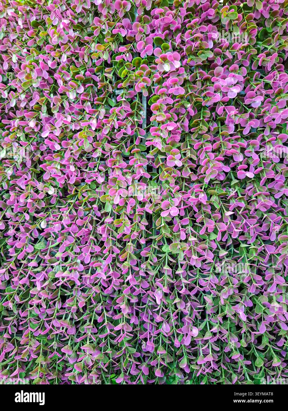 Una lussureggiante esposizione di piante artificiali presenta vivaci texture viola, creando una parete accattivante. Questa configurazione aggiunge un tocco sereno ed elegante a qualsiasi dispositivo Foto Stock