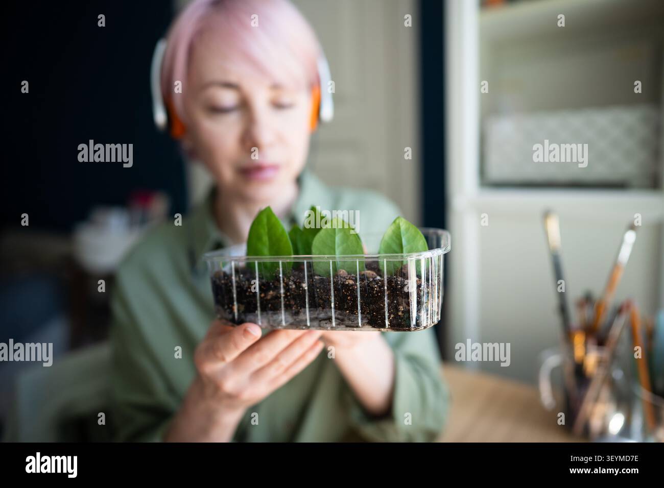Donna matura positiva che mostra contenitore con foglie di Zamioculcas verdi in crescita piantate nel suolo Foto Stock