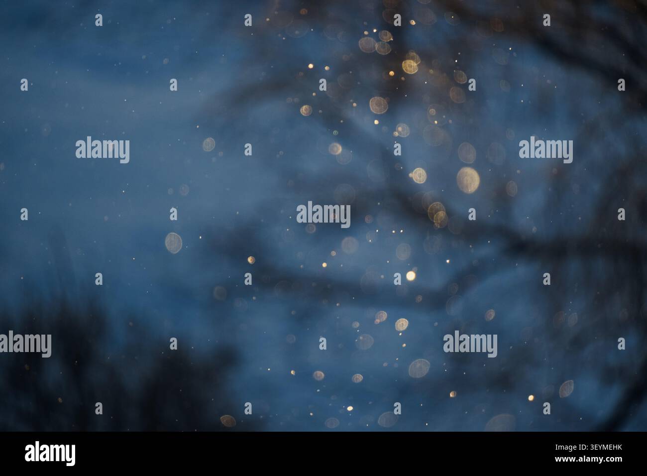 Sfondo astratto invernale a bokeh con fiocchi di neve nella luce dorata della sera Foto Stock