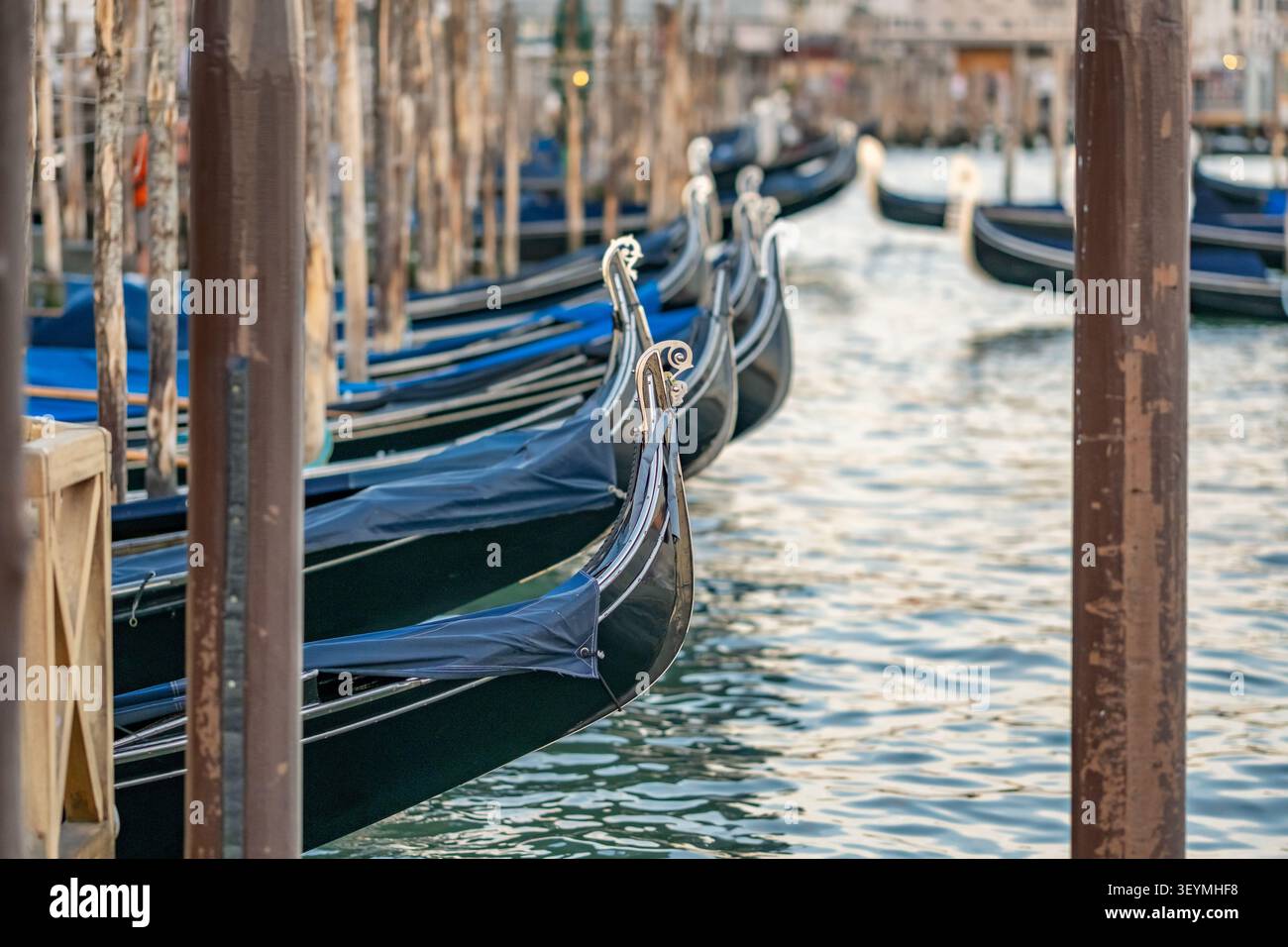 Fila di gondole tradizionali ormeggiate nella laguna, Venezia, Italia Foto Stock