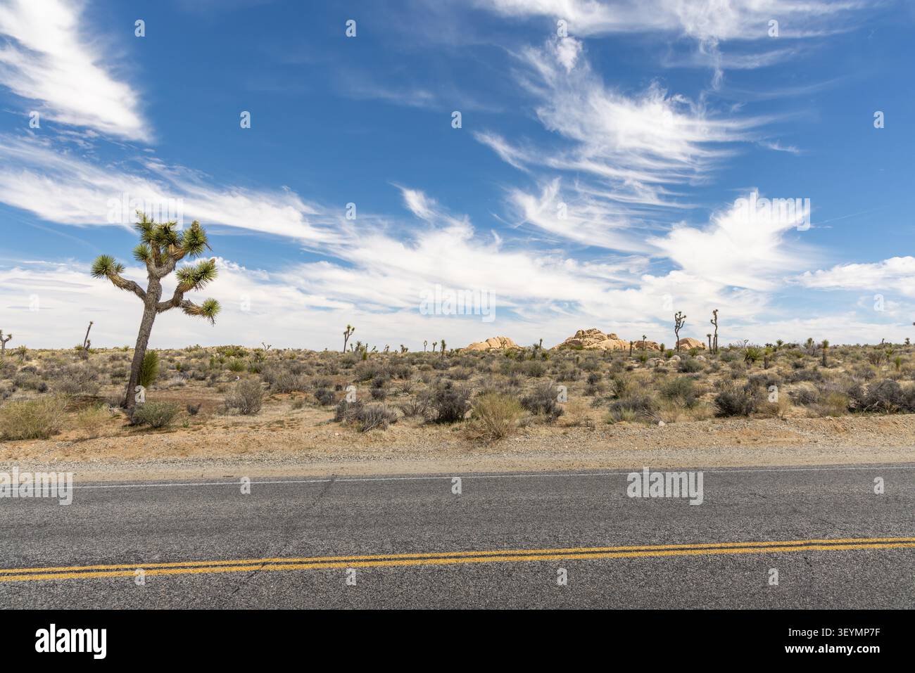 Surreali paesaggi desertici del Parco Nazionale di Joshua Tree con rocce e alberi unici sotto il cielo spettacolare Foto Stock